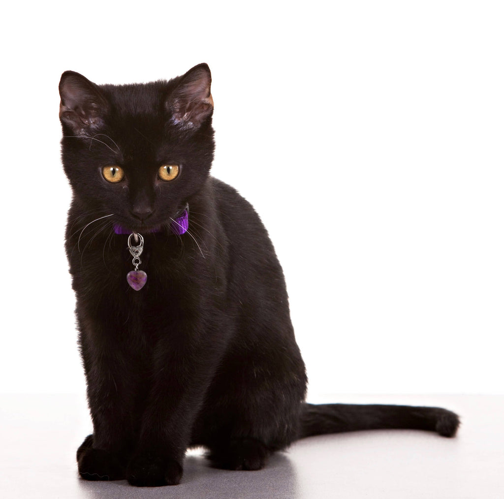 Amethyst Heart Pet Collar Charm – Purple Crystal Pet Accessory Gift for Dogs & Cats