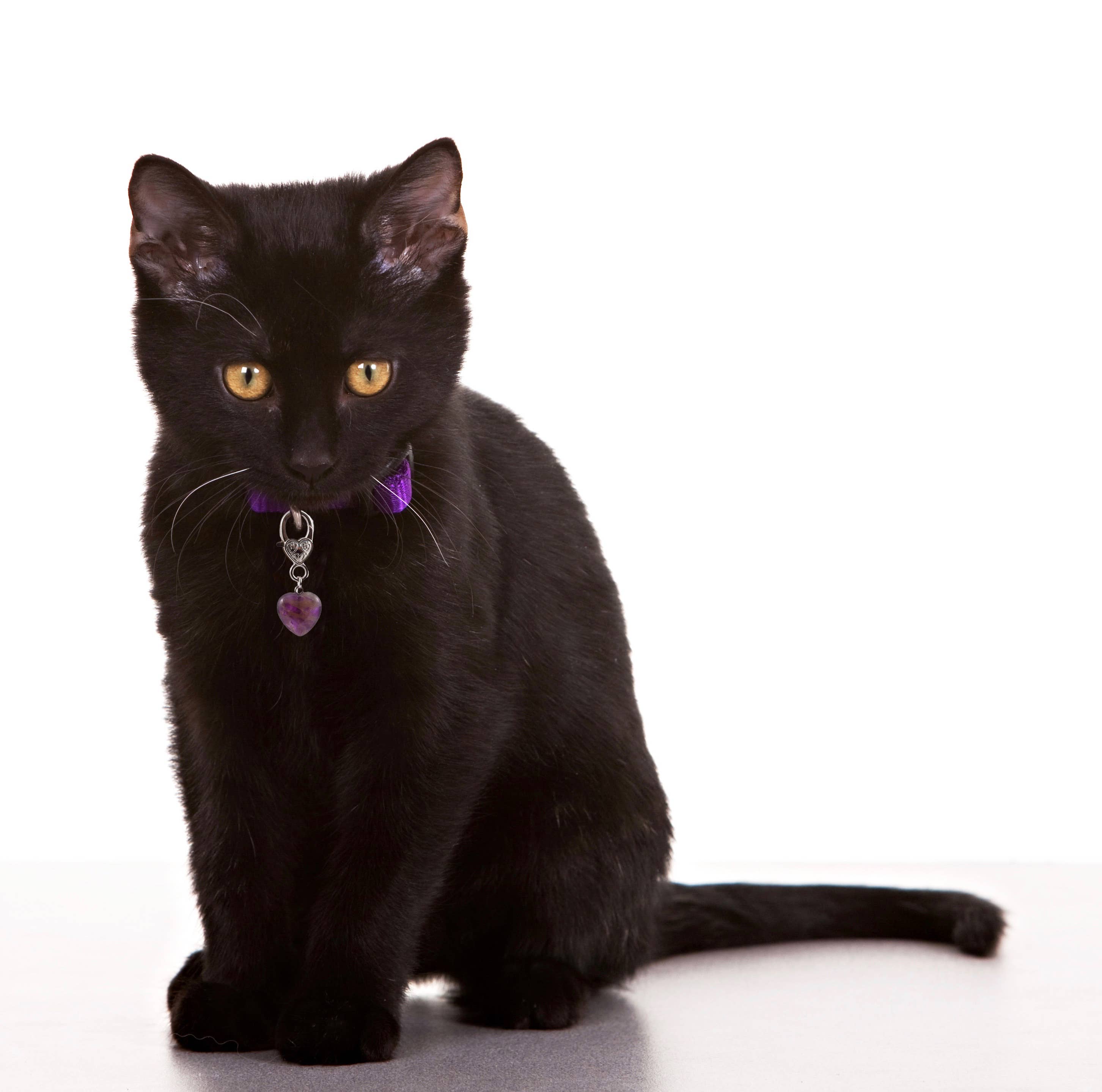 Amethyst Heart Pet Collar Charm – Purple Crystal Pet Accessory Gift for Dogs & Cats