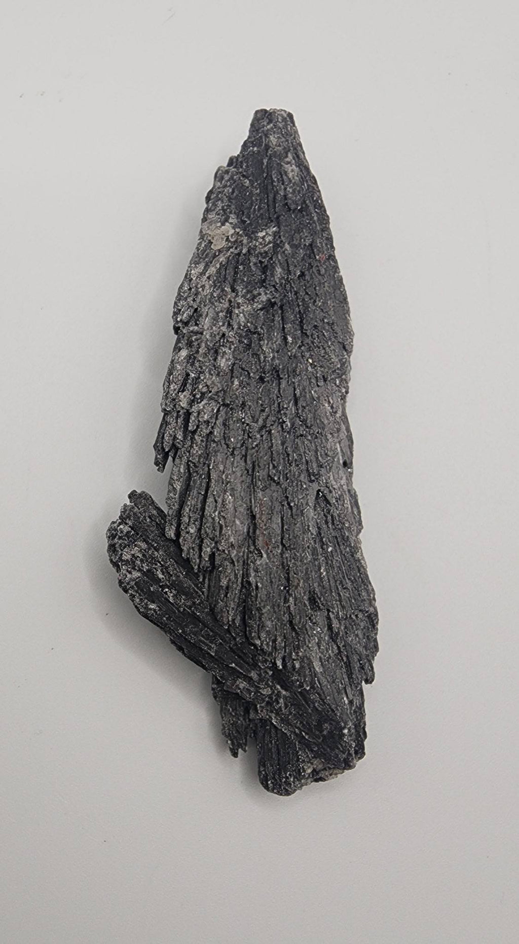 Black Tourmaline Raw Crystal | Protection & Grounding Stone | Natural Energy Shield