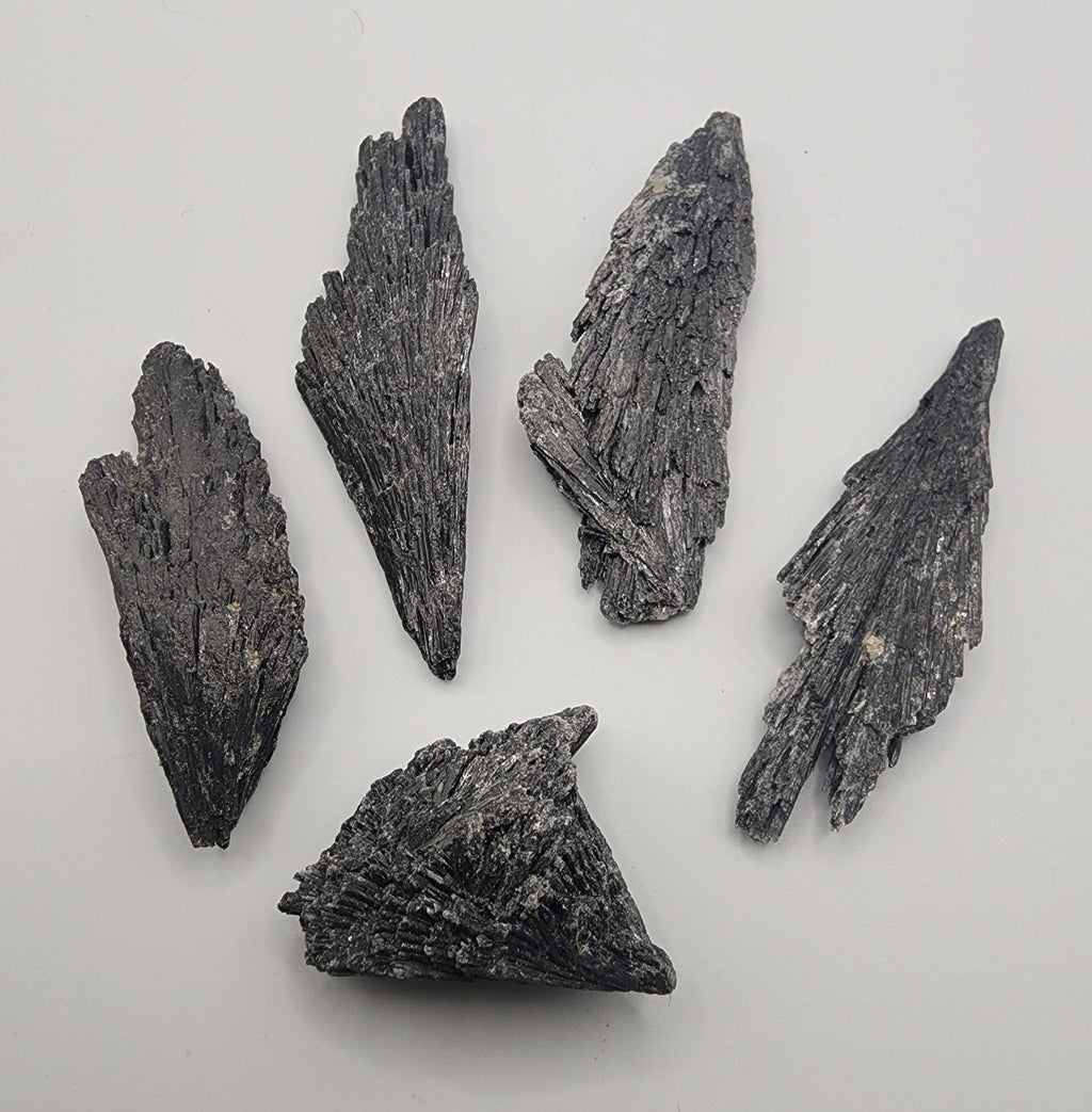 Black Tourmaline Raw Crystal | Protection & Grounding Stone | Natural Energy Shield