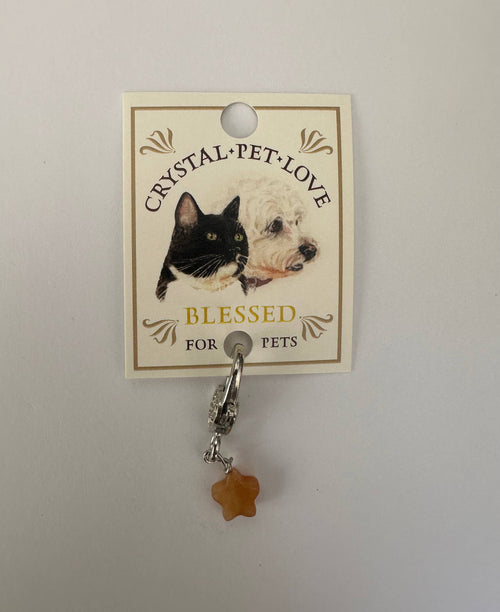 Citrine Star Pet Collar Charm – Yellow Natural Stone Pet Accessory for Dogs & Cats
